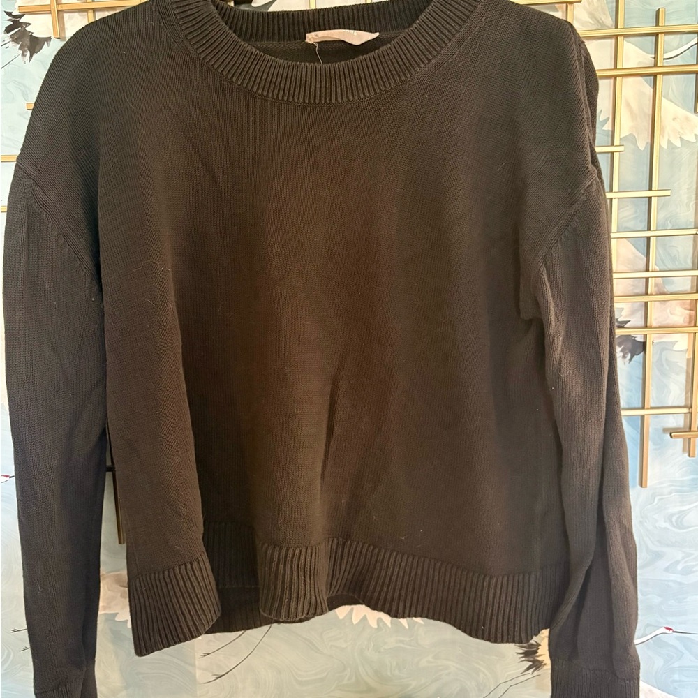 Everlane Navy Crewneck Sweater